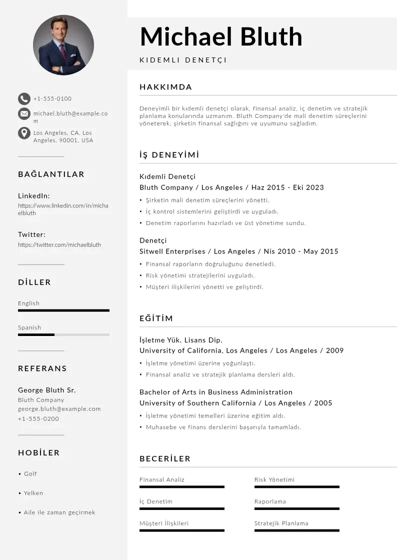 Mūsdienīga Kıdemli Denetçi  CV veidne