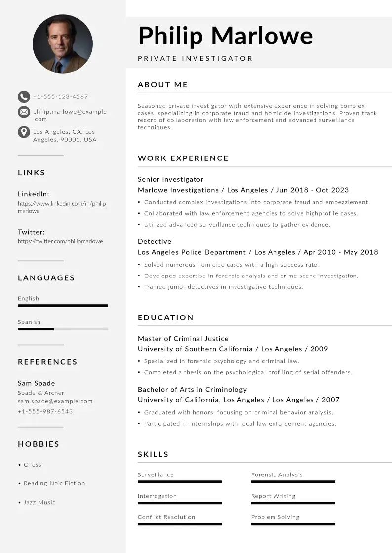 modern Private investigator resume resume template