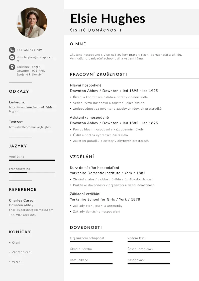 Mūsdienīga Čistič domácnosti CV veidne