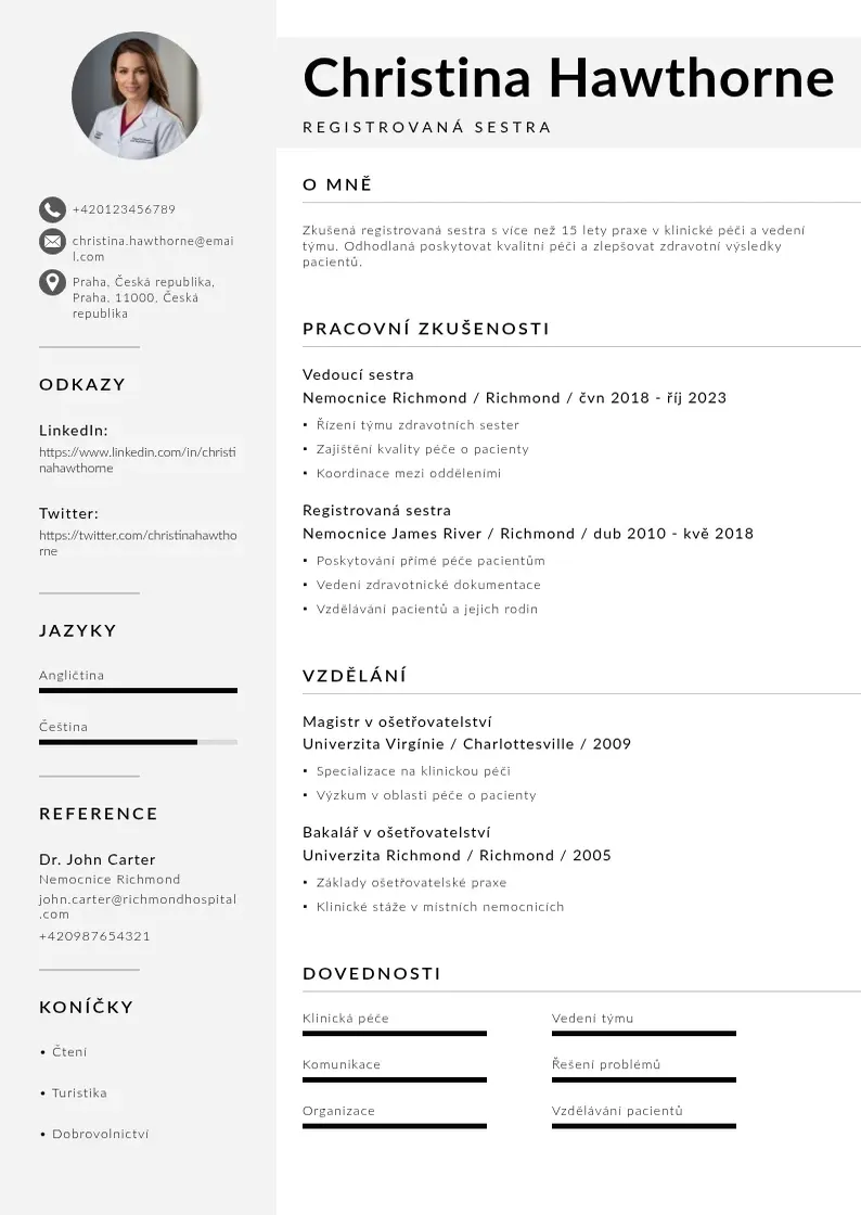 Mūsdienīga Registrovana sestricka  CV veidne