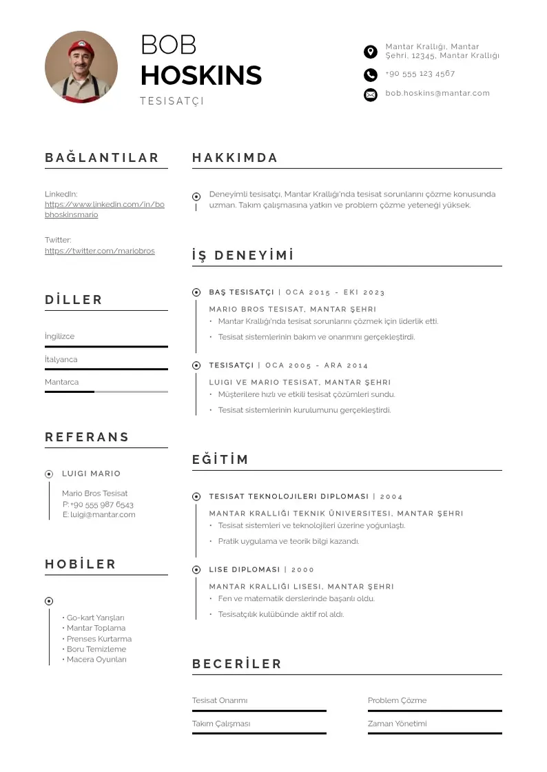 Profesionāla Tesisatçı  CV veidne
