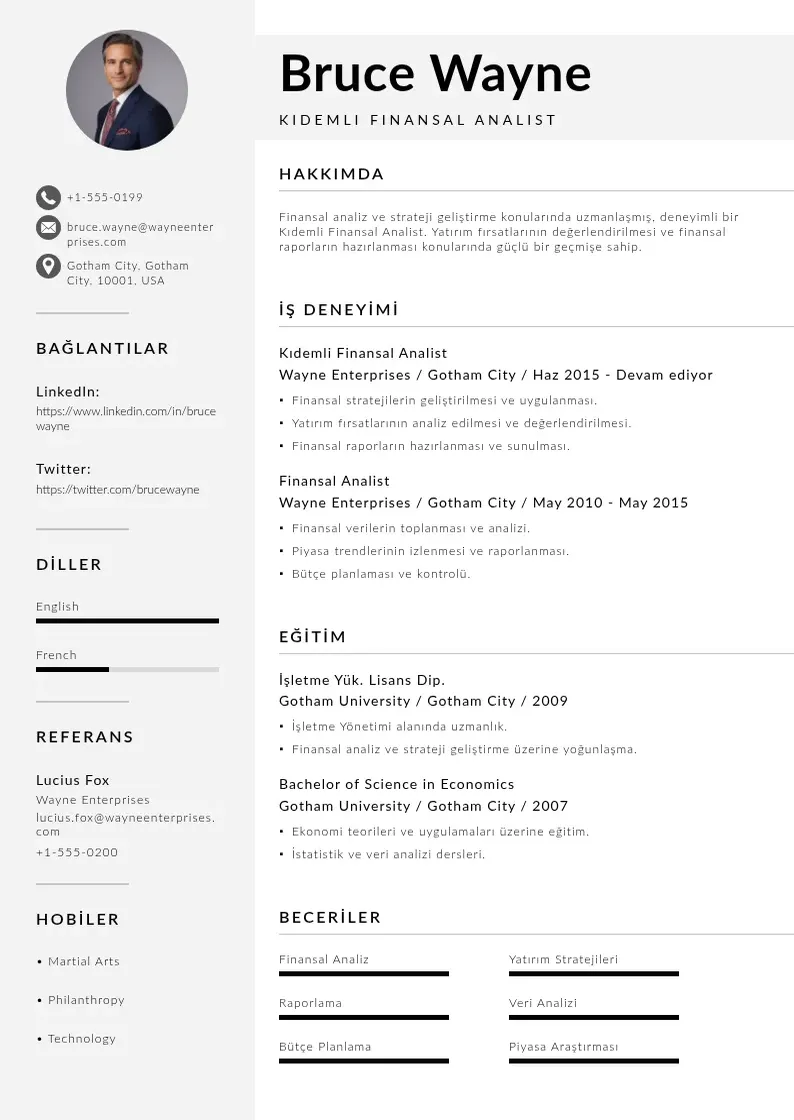 Mūsdienīga Kıdemli Finansal Analist  CV veidne