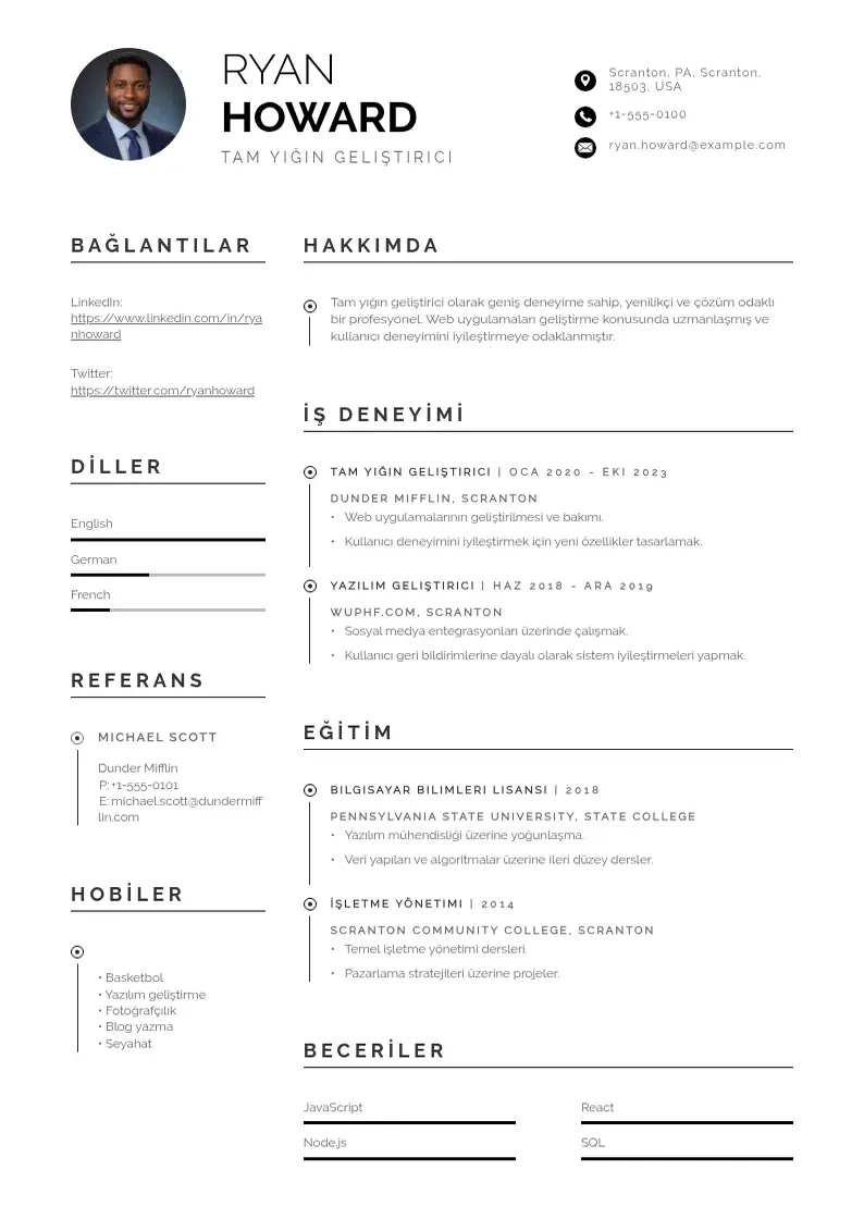 Profesionāla Tam Yığın Geliştirici  CV veidne