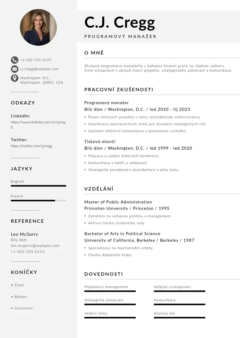 Mūsdienīga Programovy manazer zivotopis CV veidne