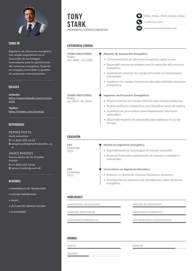 two column ingeniero-de-eficiencia-energetica resume example