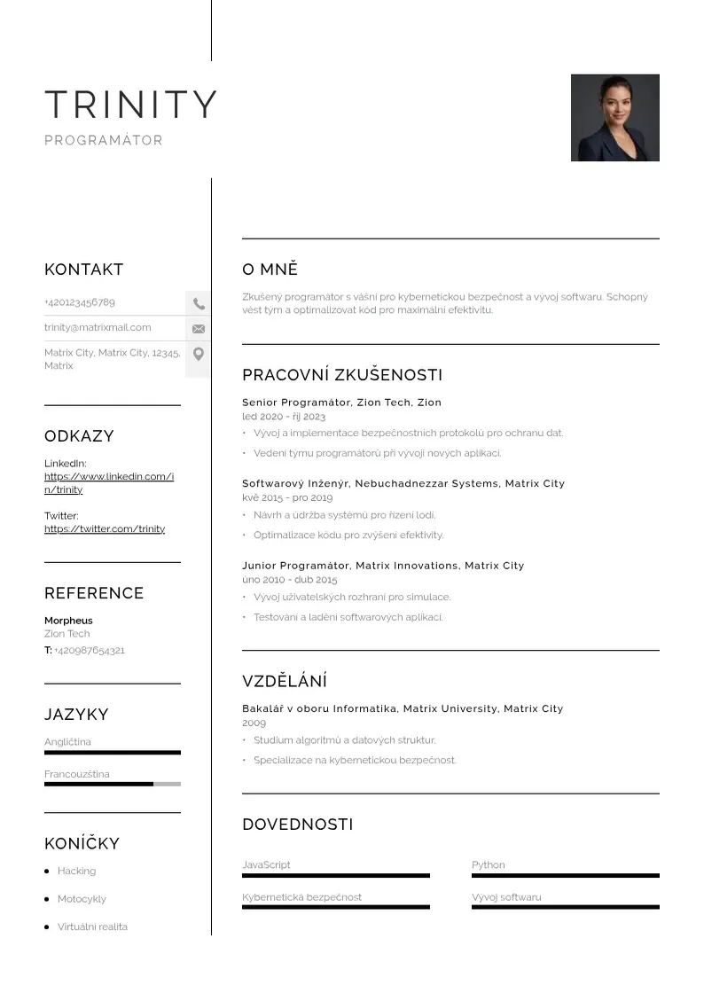 Vienkārša Zivotopis programator CV piemērs