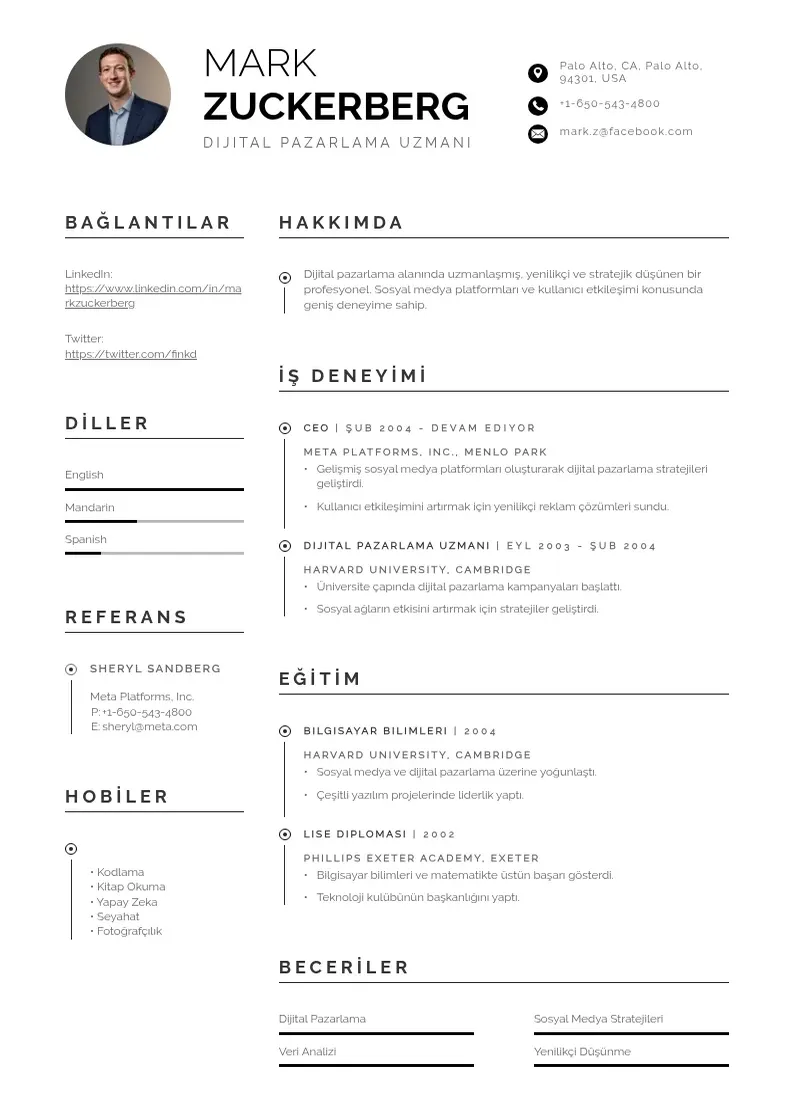 Profesionāla Dijital Pazarlama Uzmanı  CV veidne