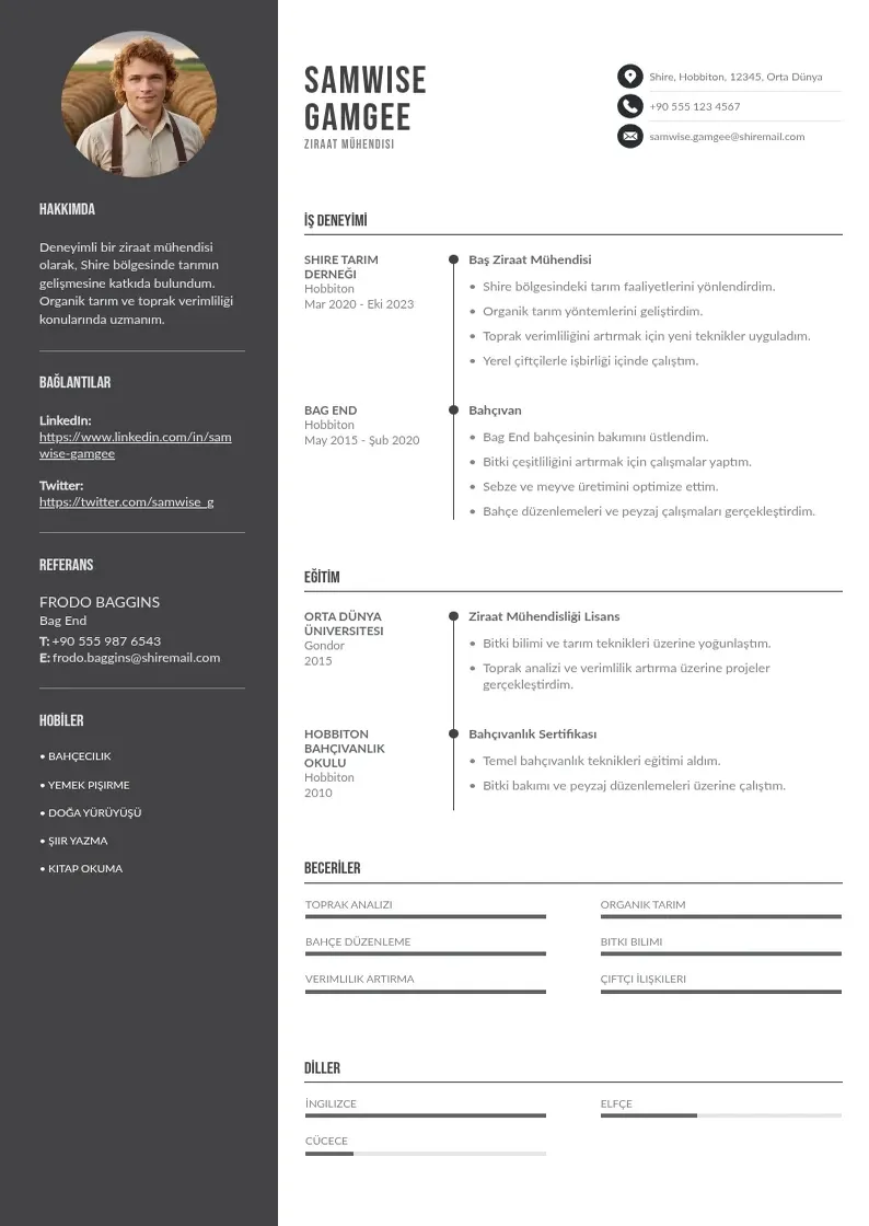 Divu kolonnu Ziraat muhendisi  ornekleri CV piemērs