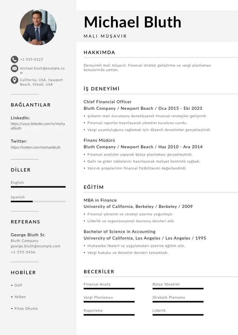 Mūsdienīga Mali Müşavir  CV veidne