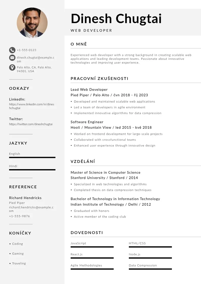 Mūsdienīga Zivotopis web developera CV veidne