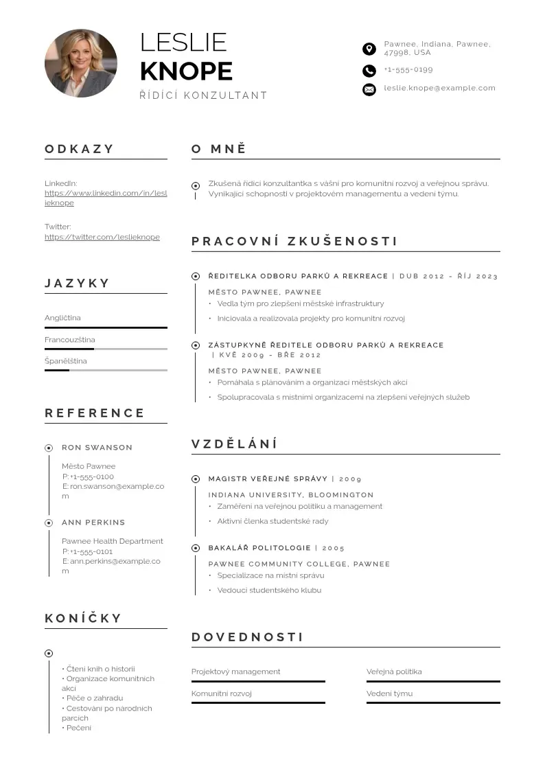 Profesionāla Ridici konzultant zivotopis CV veidne