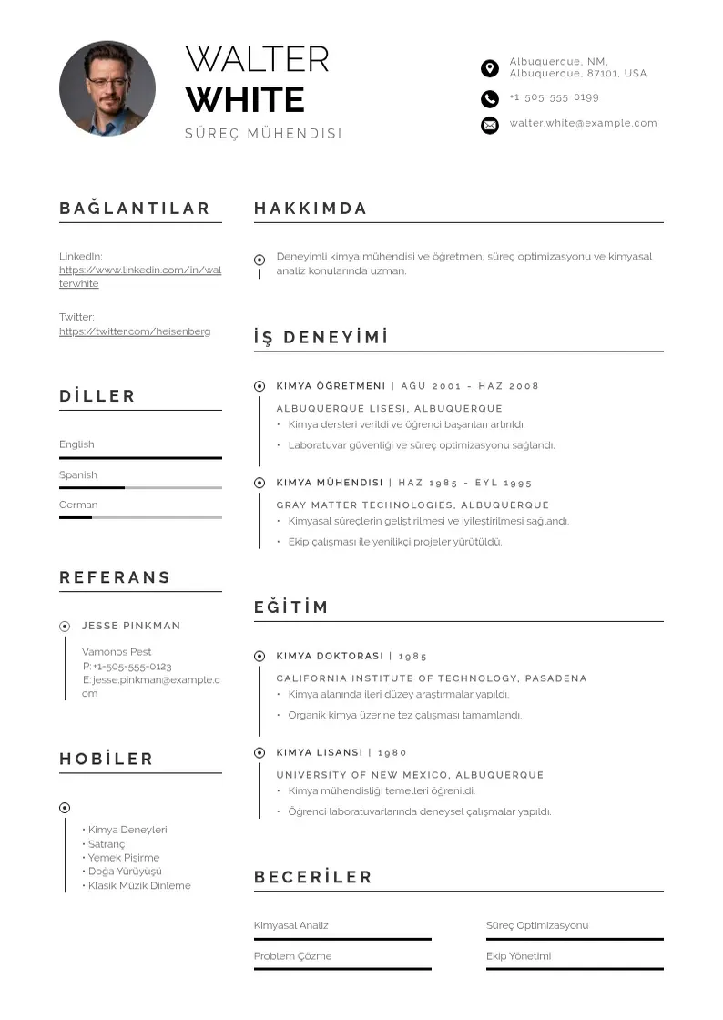 Profesionāla Süreç Mühendisi  CV veidne