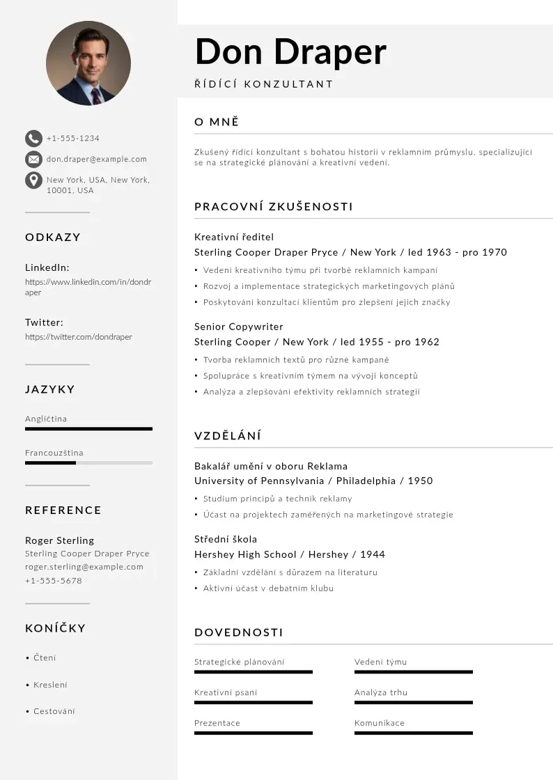 Mūsdienīga Ridici konzultant zivotopis CV veidne