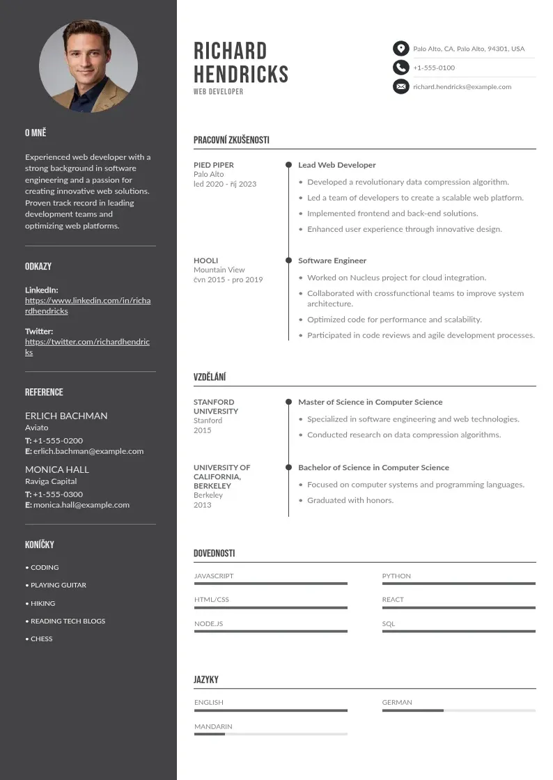 Divu kolonnu Zivotopis web developera CV piemērs