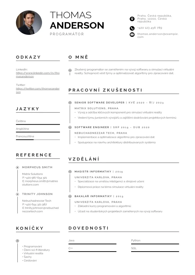 Profesionāla Zivotopis programator CV veidne