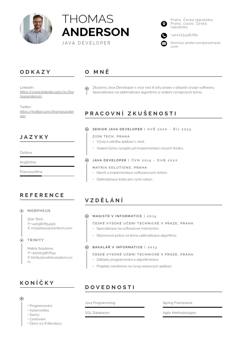 Profesionāla Zivotopis pro java developera java vyvojare CV veidne