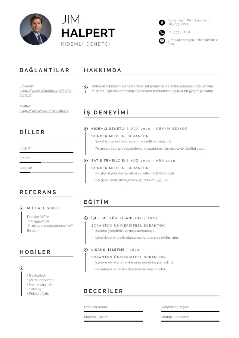 Profesionāla Kıdemli Denetçi  CV veidne