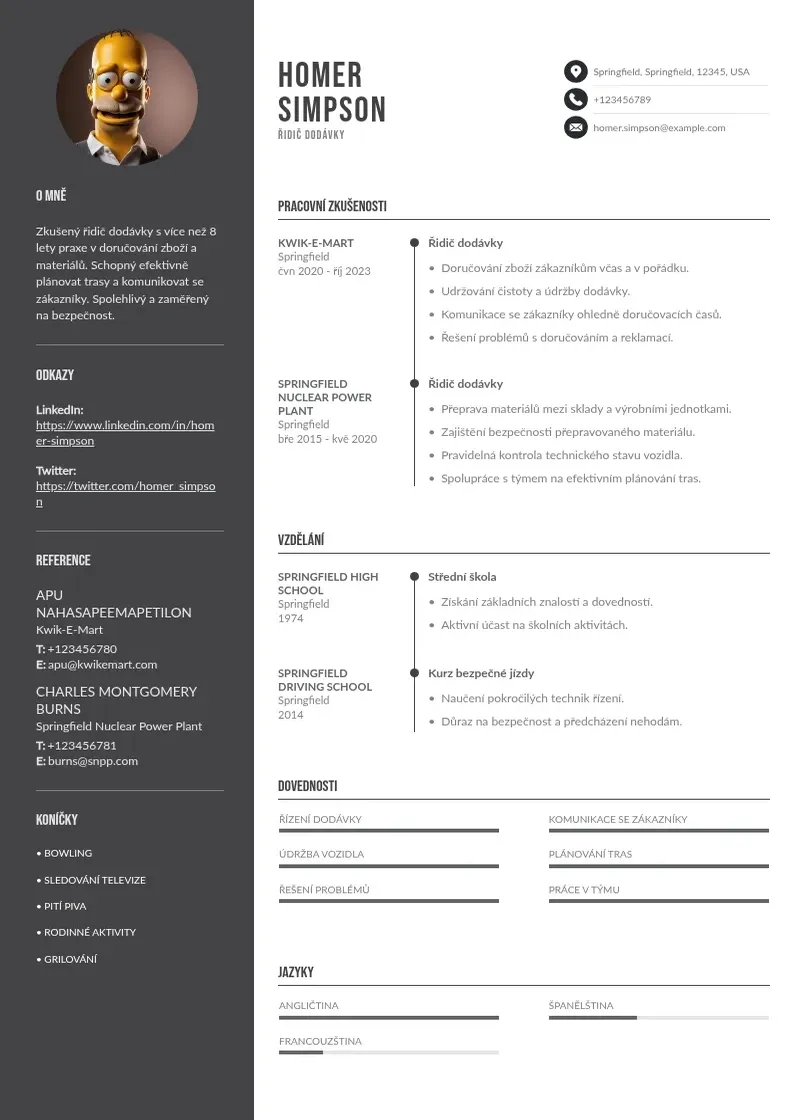 Divu kolonnu Ridic dodavky zivotopis CV piemērs