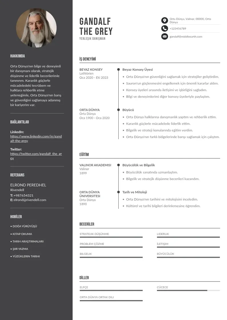 Divu kolonnu Yerleşik Danışman  CV piemērs