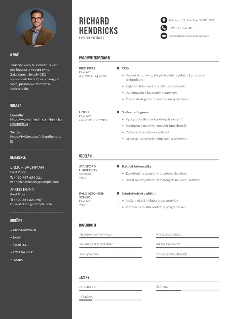 Divu kolonnu Vyvojar softwaru zivotopis CV piemērs