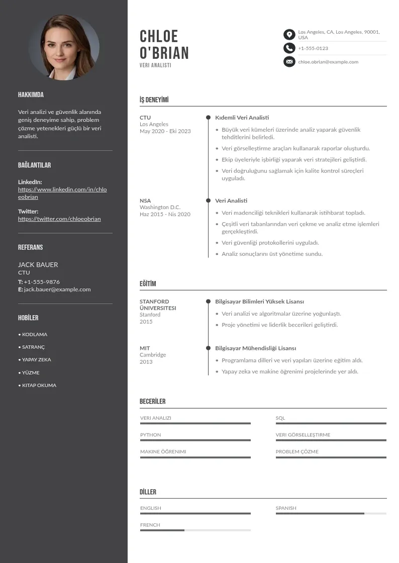 Divu kolonnu Veri analisti CV piemērs
