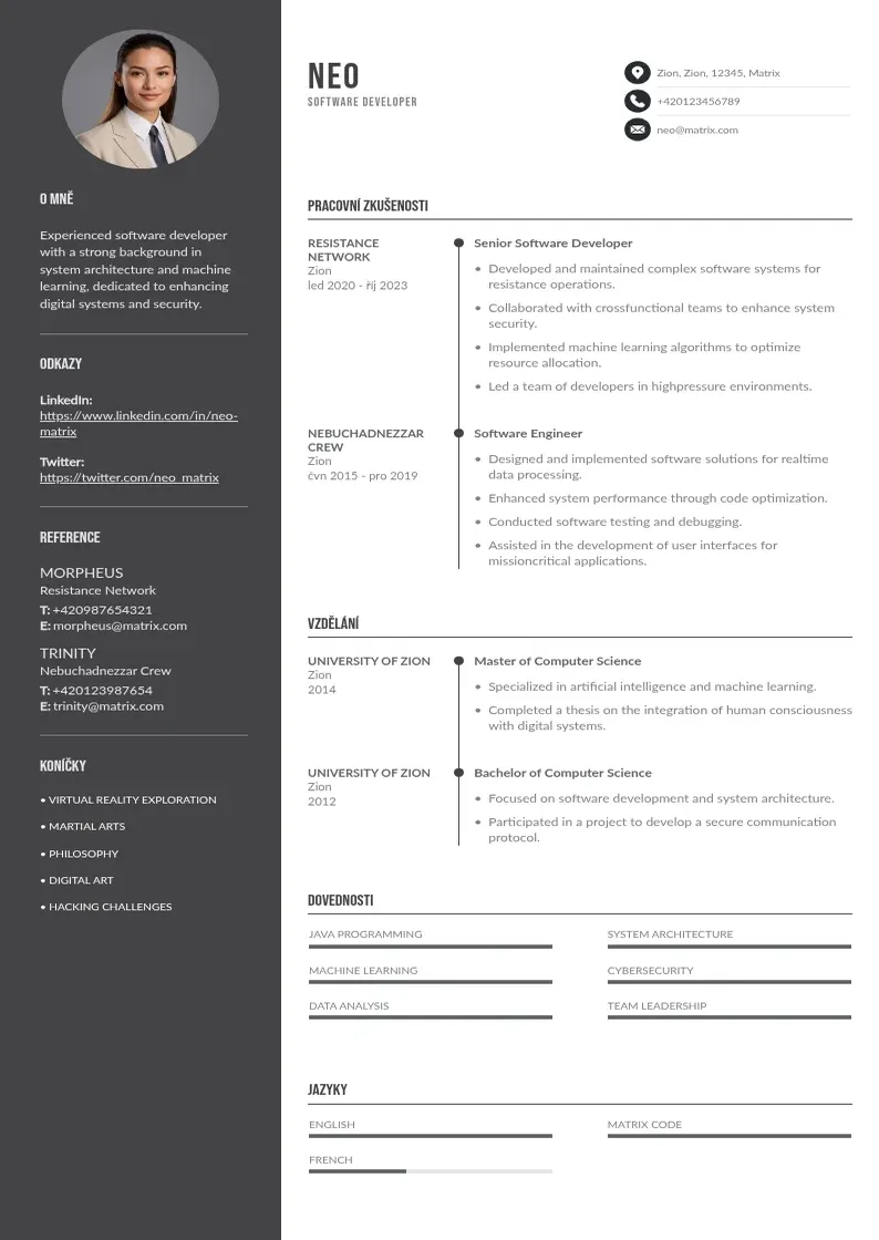 Divu kolonnu Vyvojar softwaru zivotopis CV piemērs
