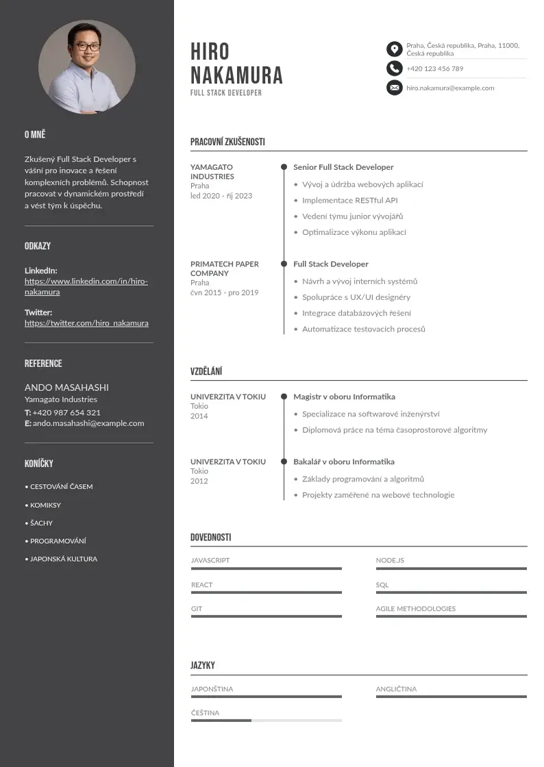 Divu kolonnu Full stack developer zivotopis CV piemērs
