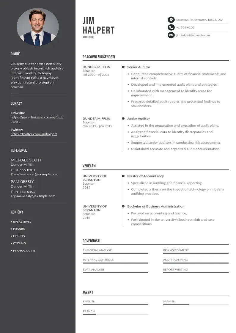 Divu kolonnu Zivotopis auditora CV piemērs