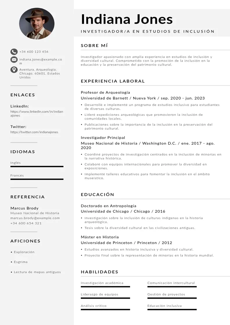two column investigadora-en-estudios-de-inclusion resume example
