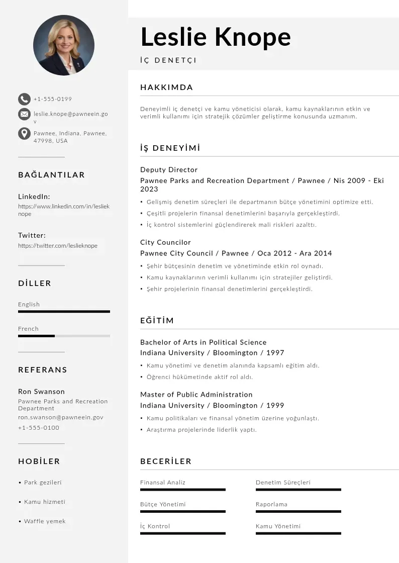 Mūsdienīga İç denetçi  CV veidne