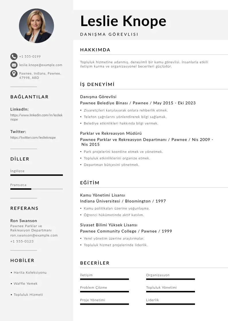 Mūsdienīga Danışma  CV veidne