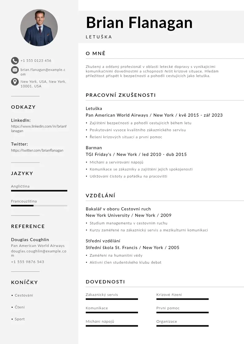 Mūsdienīga Zivotopis letuska CV veidne