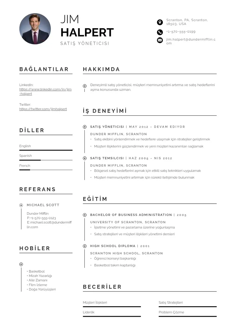 Profesionāla Satış Yöneticisi  CV veidne