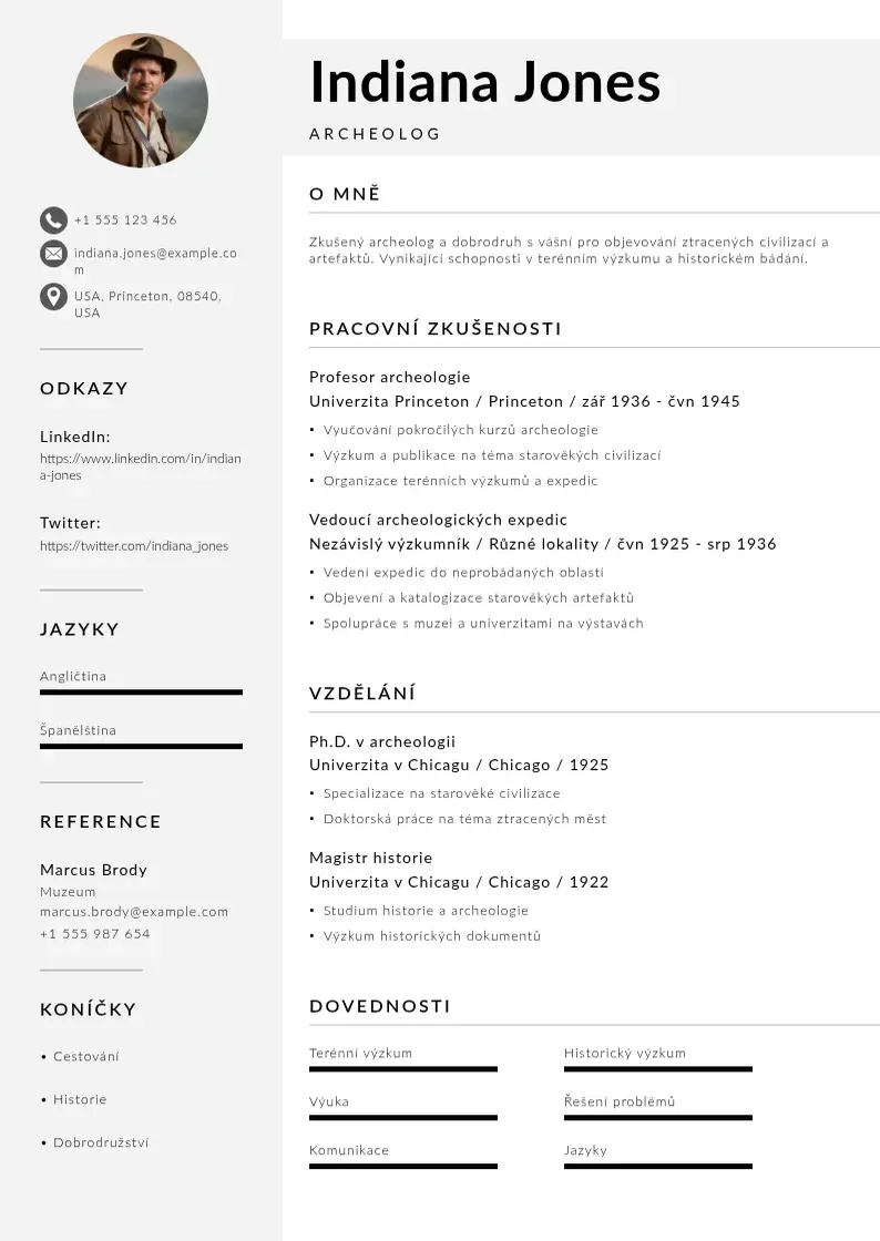 Mūsdienīga Zivotopis ve spanelstine CV veidne