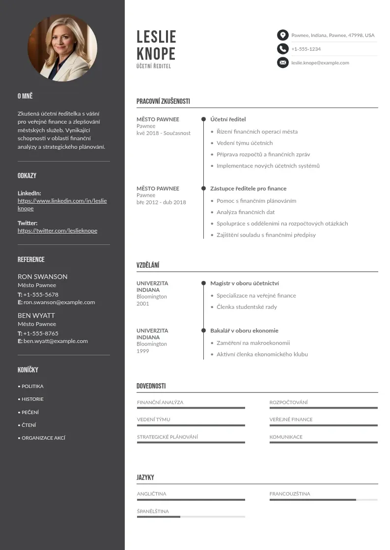 Divu kolonnu Zivotopis ucetniho reditele CV piemērs