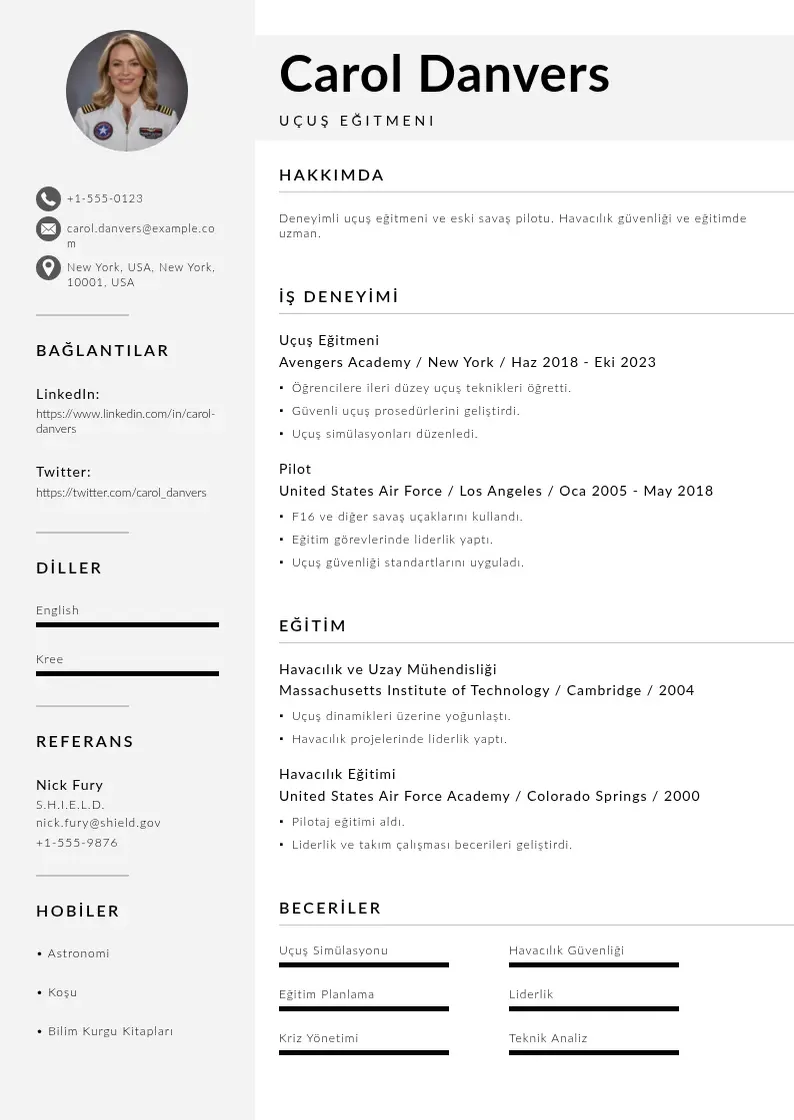 Mūsdienīga uçuş eğitmeni  CV veidne
