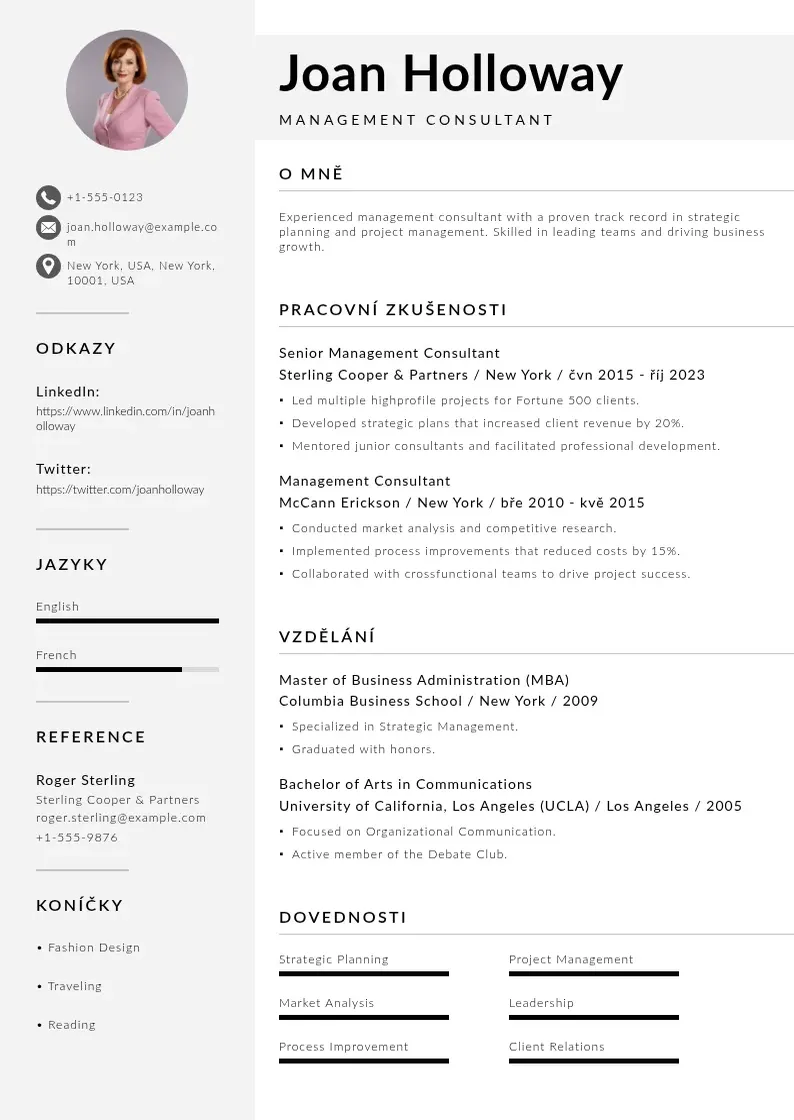 Mūsdienīga Konzultanta pro management zivotopis CV veidne