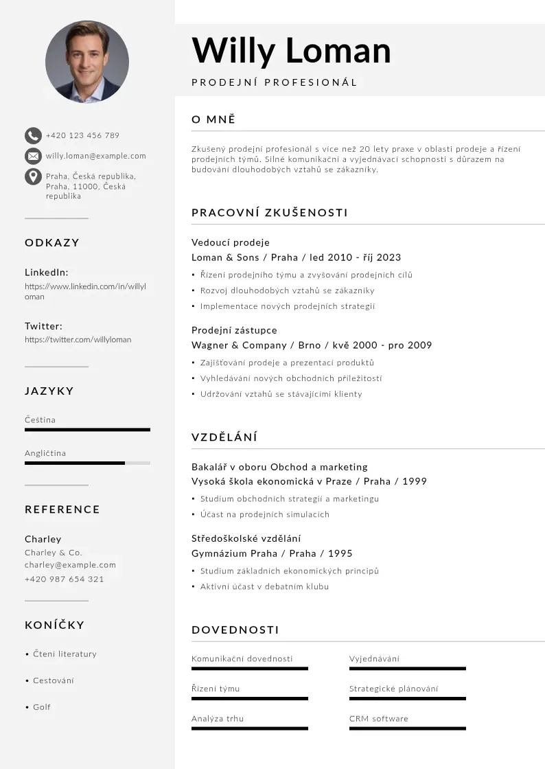 Mūsdienīga Prodejni profesional zivotopis CV veidne