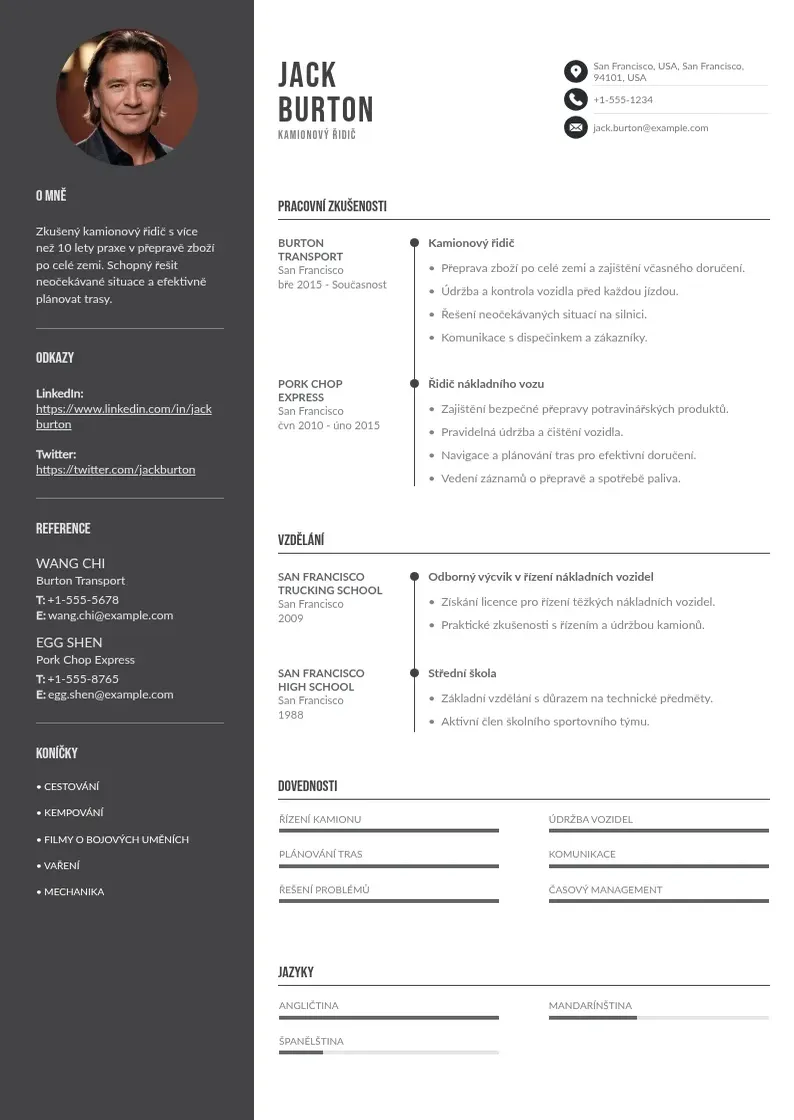 Divu kolonnu Ridic kamionu zivotopis CV piemērs
