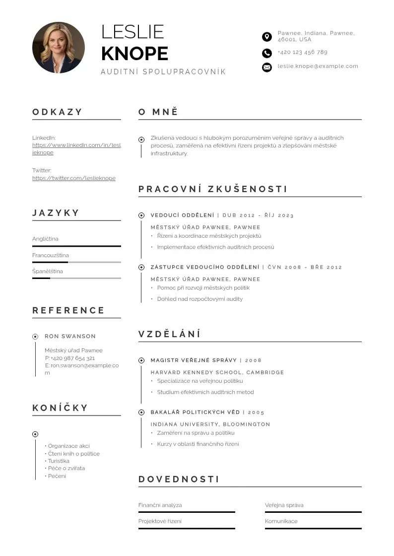 Profesionāla Auditní spolupracovník  CV veidne