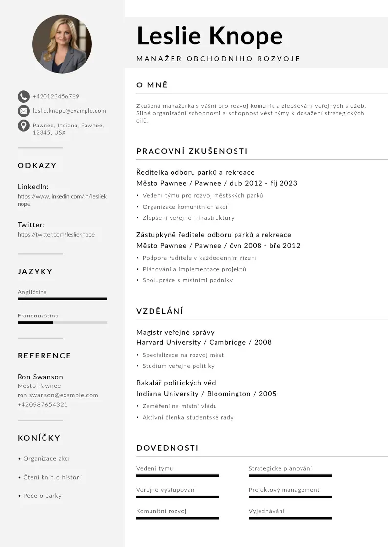 Mūsdienīga Manazer obchodniho rozvoje zivotopis CV veidne