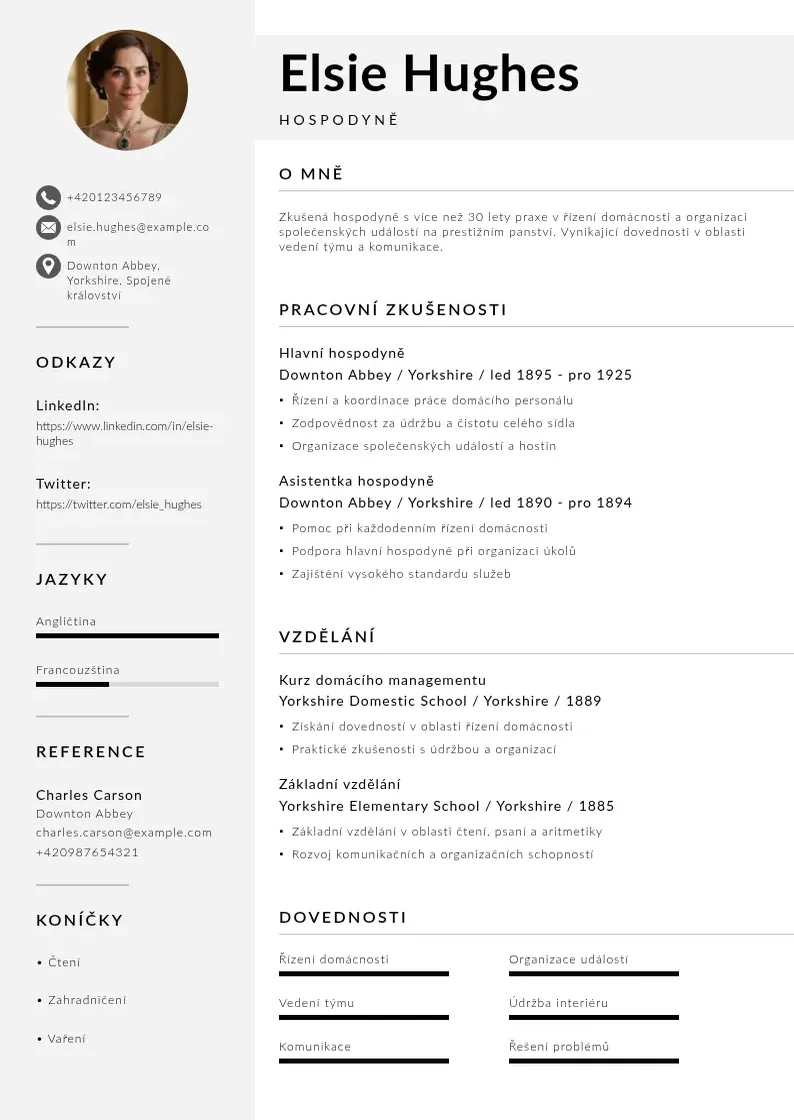 Mūsdienīga Zivotopis hospodyne CV veidne