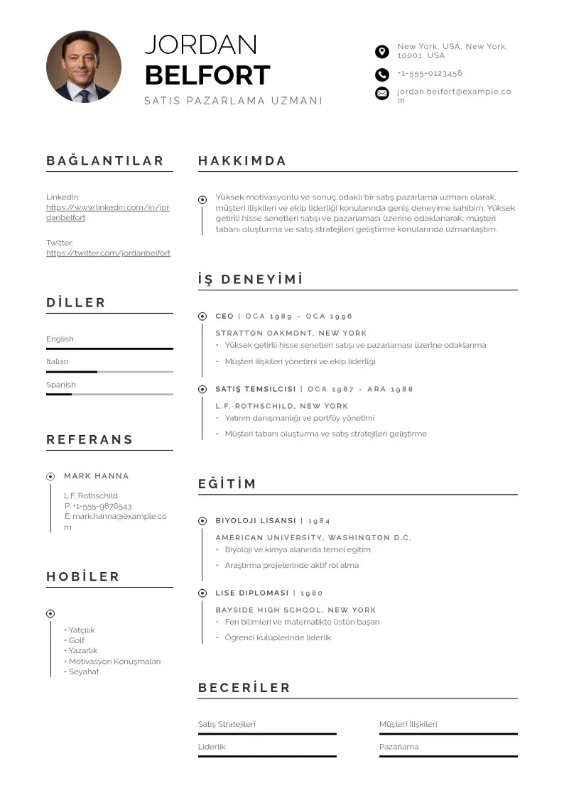 Profesionāla Satis pazarlama  ornekleri CV veidne