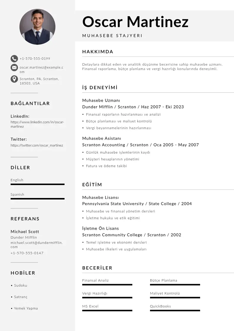 Mūsdienīga Muhasebe Stajyeri  CV veidne