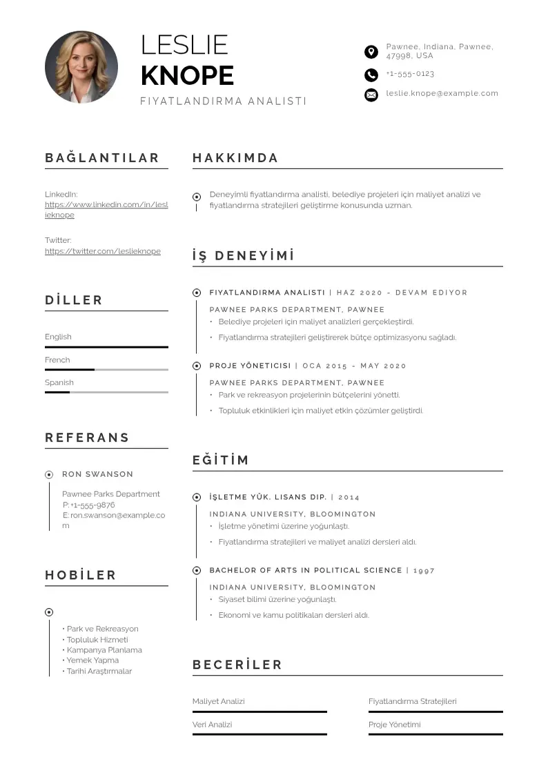 Profesionāla Fiyatlandırma Analisti  CV veidne