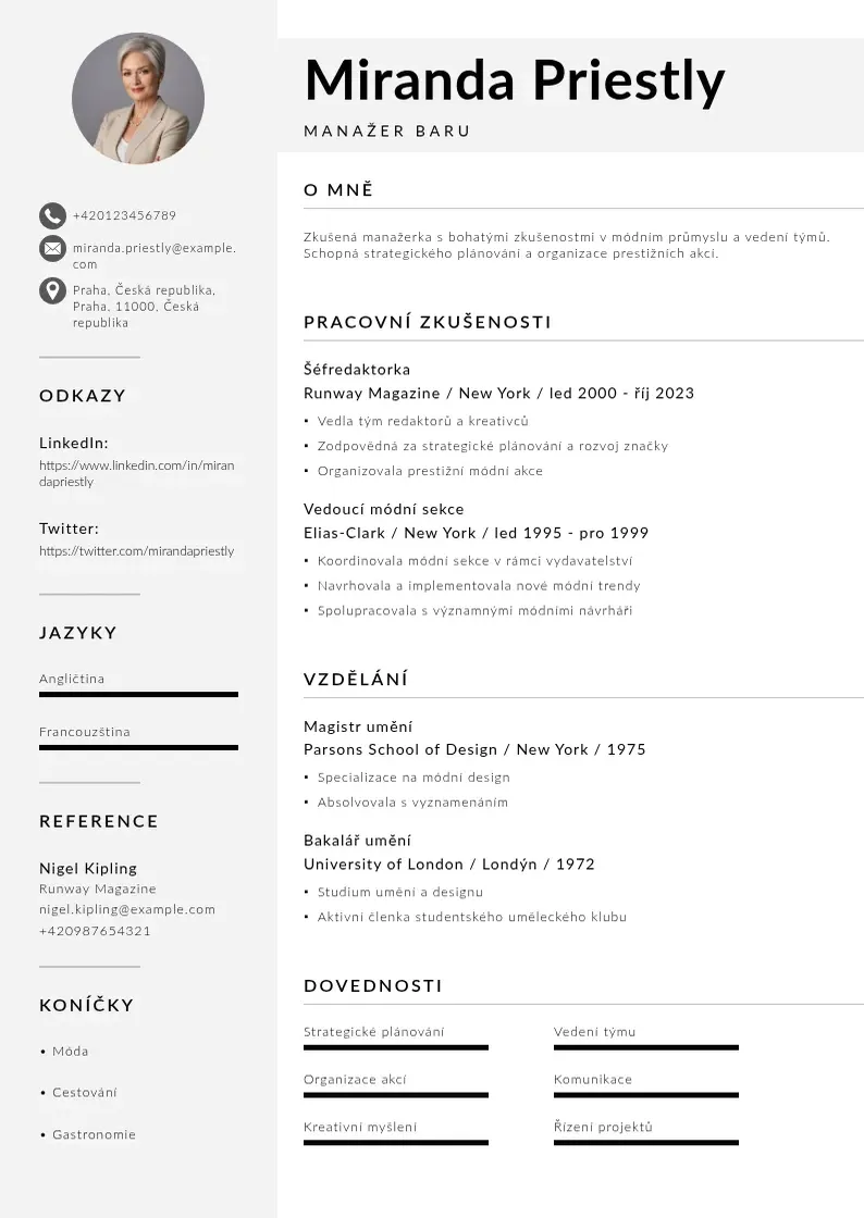 Mūsdienīga Manazer baru zivotopis CV veidne