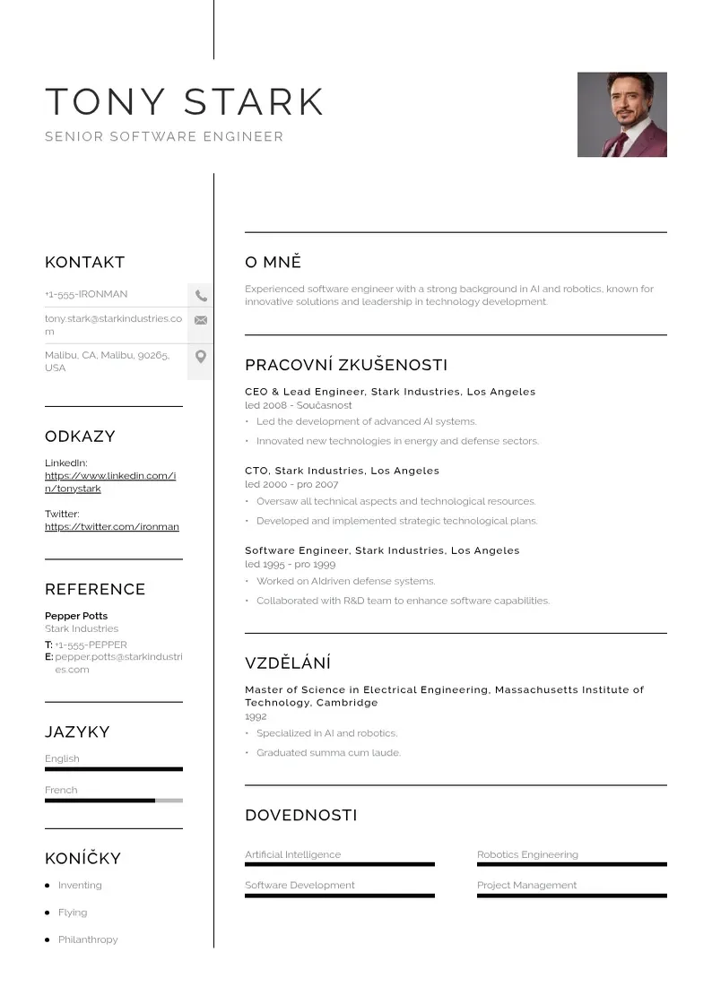 Vienkārša Senior softwarovy inzenyr zivotopis CV piemērs
