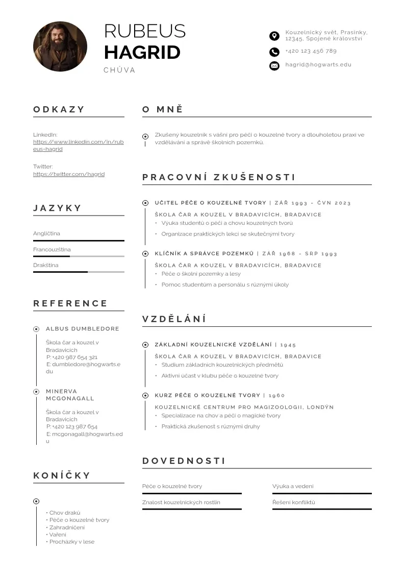 Profesionāla Chuva zivotopis CV veidne