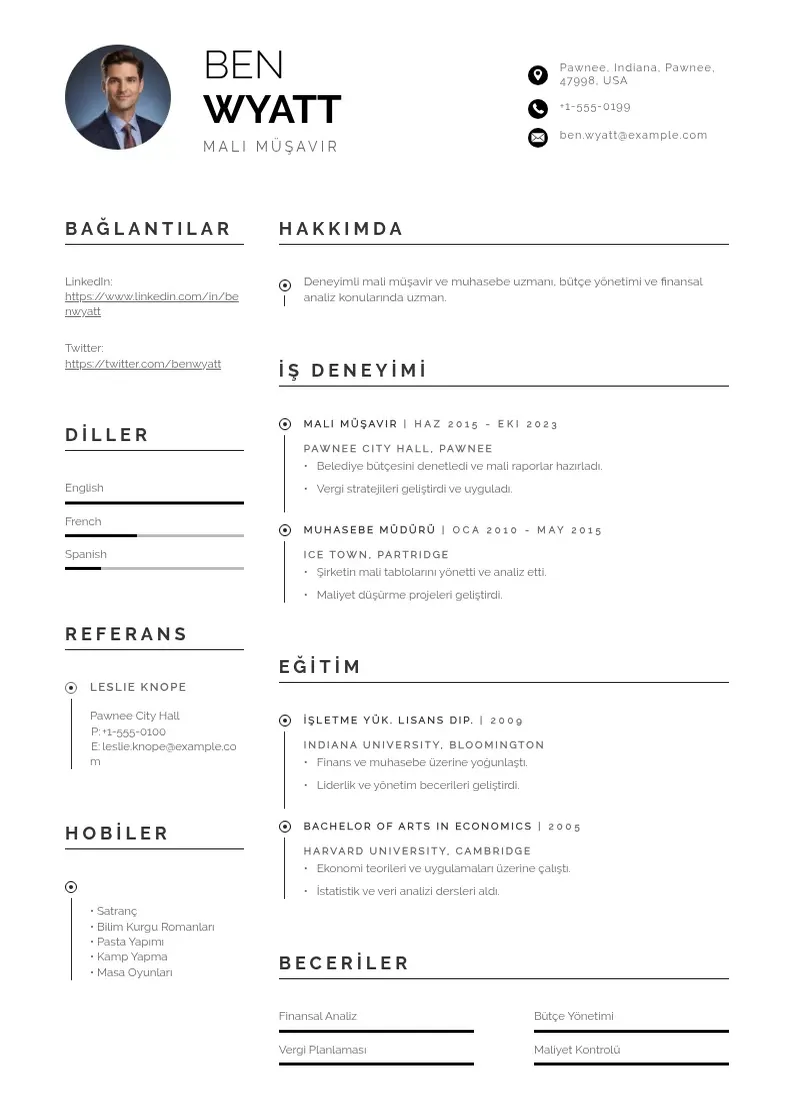 Profesionāla Mali Müşavir  CV veidne