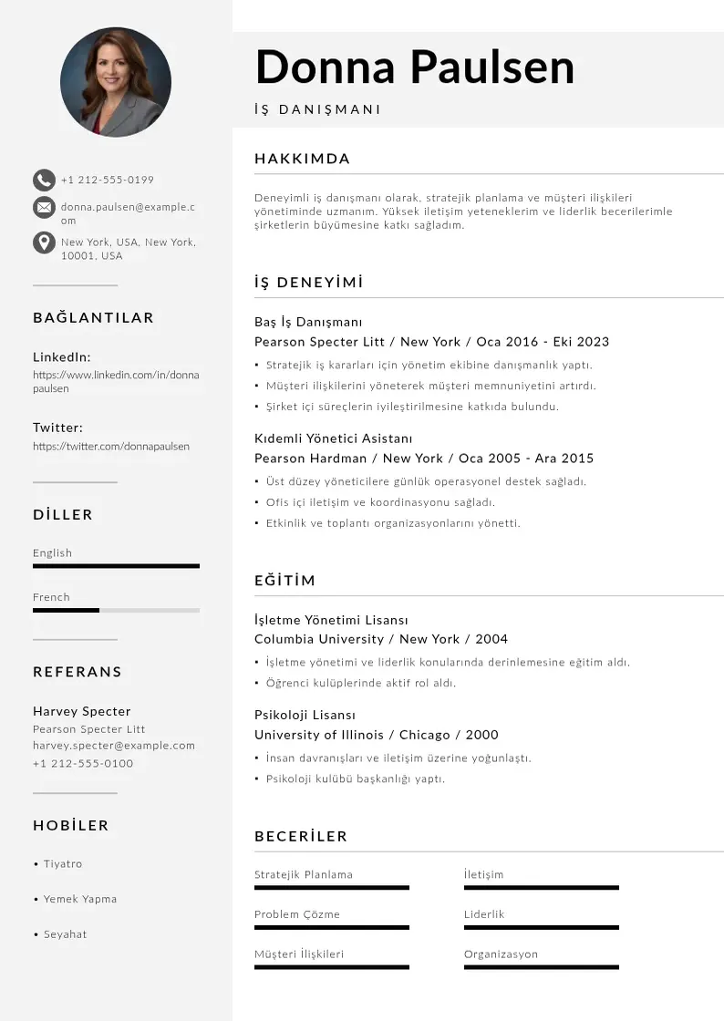 Mūsdienīga İş danışmanı  CV veidne